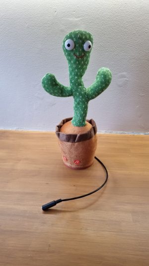 Zingende cactus